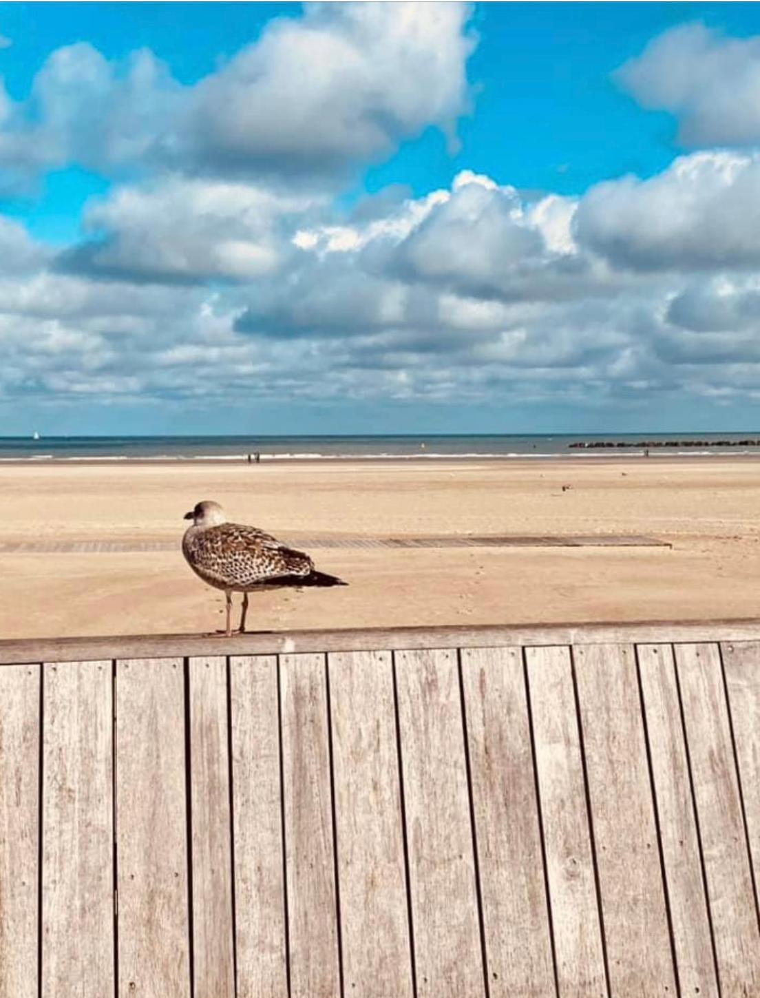 Appartement Sur La Plage De Malo Les Bains Vue Mer Dunkirk Exterior foto